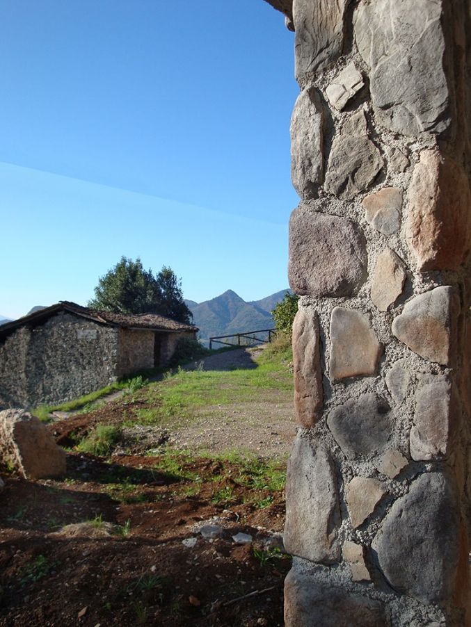 Carrara Uygulama