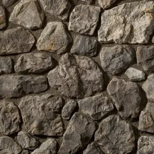 Brown Coast