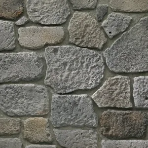Gray Hill