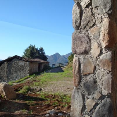 Carrara Uygulama5